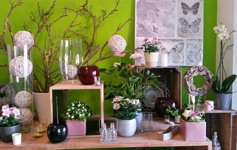 Photo : A Fleur de Pot, Fleurs & Plantes, fleuriste à Pont-à-Celles