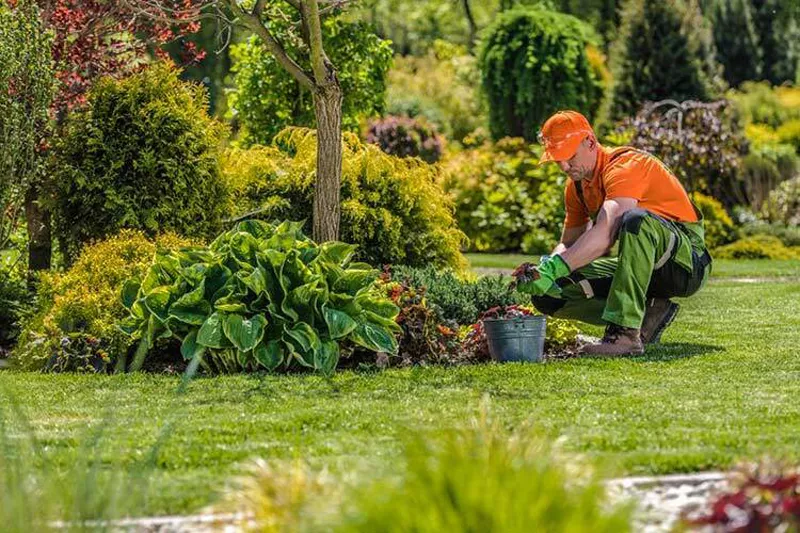 Photo : Thomas Gallez, Parcs & Jardins à Houyet