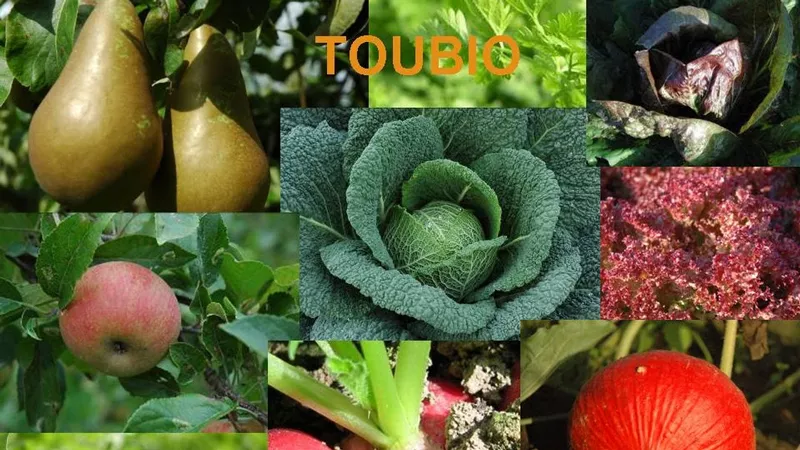 Photo : Tournel - Lefevre  Toubio, Alimentation en produits naturels – Biologiques & de régime à Fleurus