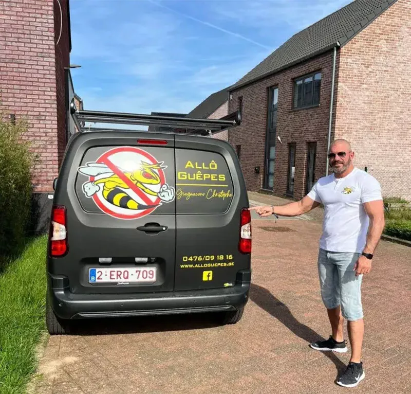 Photo : Allô Guêpes, Nids de guêpes à Waremme, Berloz, Remicourt & entités