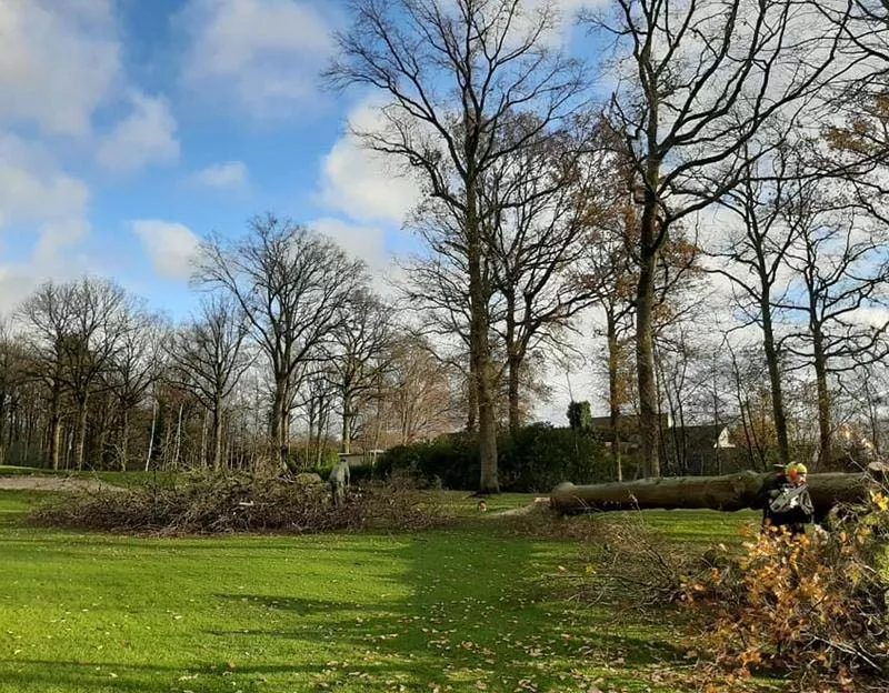 Photo : Arnaud Allard, Élagage & Abattage d’arbres à Pont-à-Celles