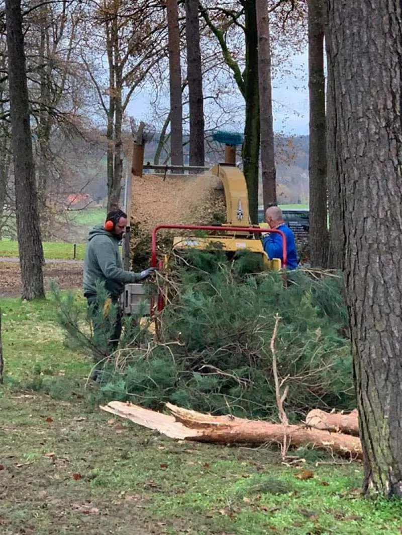 Photo : Arnaud Allard, Élagage & Abattage d’arbres à Pont-à-Celles