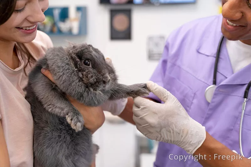 Photo : B.Renette & O.Limbourg, Vétérinaires & Clinique vétérinaire à Ouffet