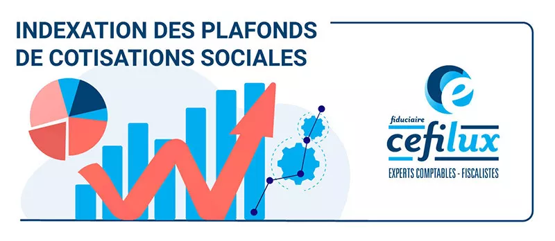 Photo : Cefilux Fiduciaire Marche-en-Famenne, Experts - comptables à Marche-en-Famenne, La Roche-en-Ardenne, Rendeux, Hotton & entités