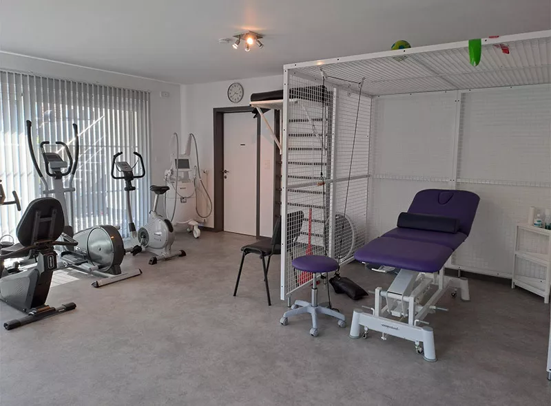 Photo : Daiche Alison, Kinésithérapeute à Bertrix, Chiny, Herbeumont & entités