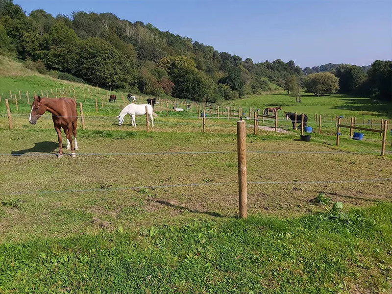 Photo : Ecurie Privée JG Endurance, Manèges - Centres équestres & Haras à Walcourt