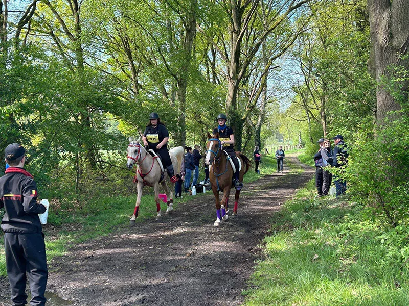 Photo : Ecurie Privée JG Endurance, Manèges - Centres équestres & Haras à Walcourt