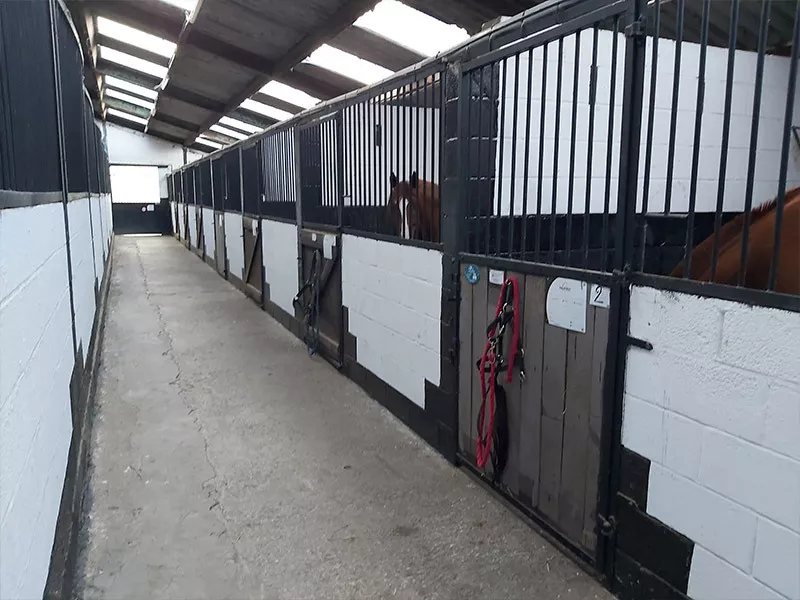 Photo : Ecurie Privée JG Endurance, Manèges - Centres équestres & Haras à Walcourt