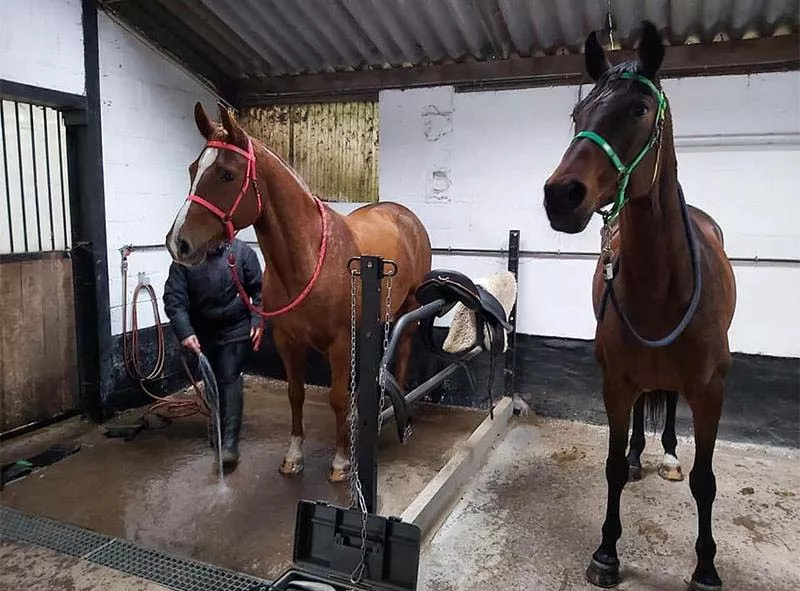 Photo : Ecurie Privée JG Endurance, Manèges - Centres équestres & Haras à Walcourt