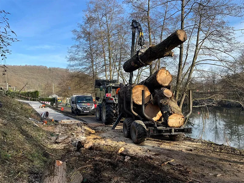 Photo : Arbres'N'co, Elagage & Abattage d’arbres à Hannut