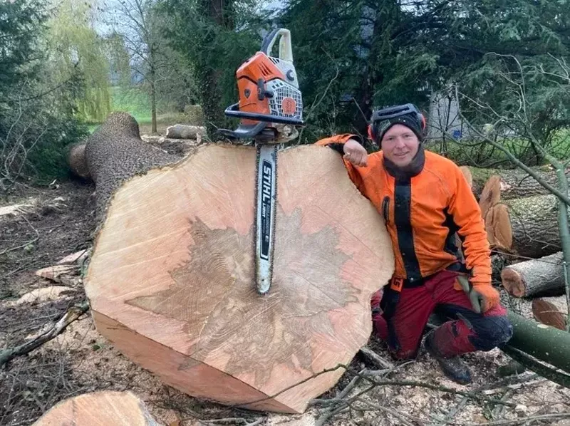 Photo : Simpli - Cîme, Elagage & Abattage d’arbres à Verlaine