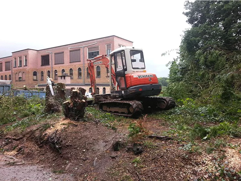 Photo : Les Jardins de BJ, Elagage & Abattage d'arbres à Profondeville