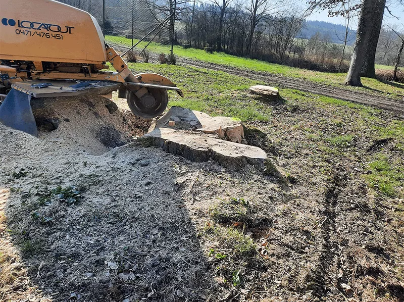 Photo : Les Jardins de BJ, Elagage & Abattage d'arbres à Profondeville