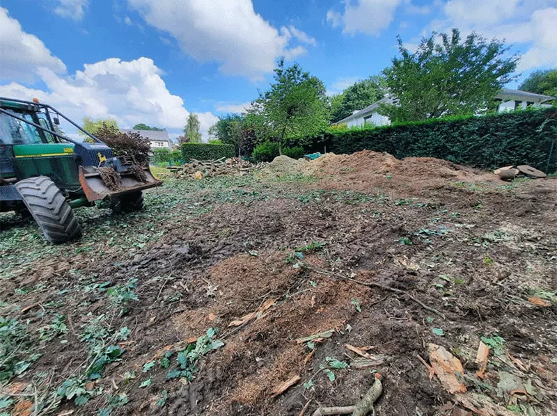 Photo : Les Jardins de BJ, Elagage & Abattage d'arbres à Profondeville