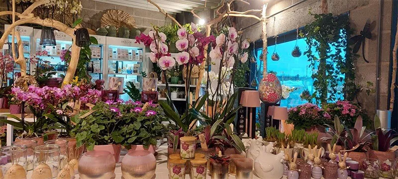 Photo : Evans Garden, Fleurs & plantes à Ouffet, Tinlot, Clavier, Modave & entités