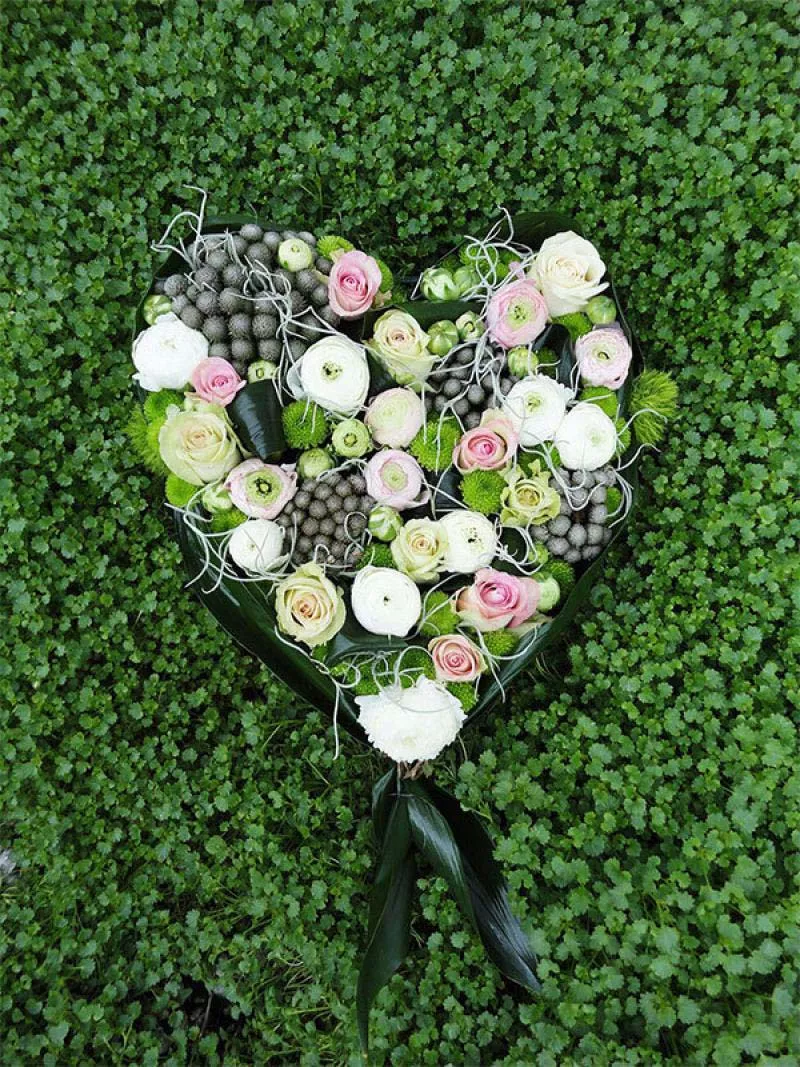 Photo : Evergreen, Fleurs & Plantes à Saint-Ghislain & entités