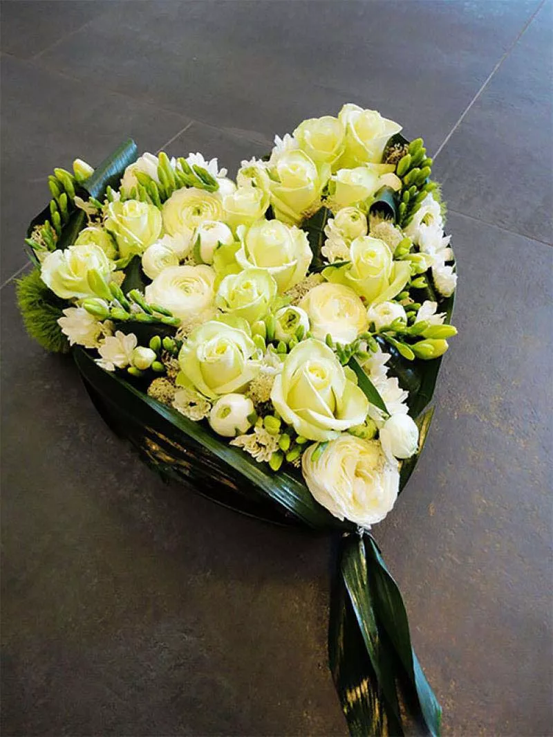 Photo : Evergreen, Fleurs & Plantes à Saint-Ghislain & entités