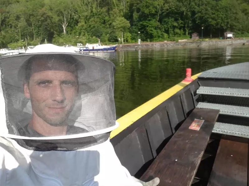 Photo : Extermin' A Temps, Nids de Guêpes & Nids de frelons à Beauraing, Houyet, Wellin, Dinant, Gedinne et Bièvre