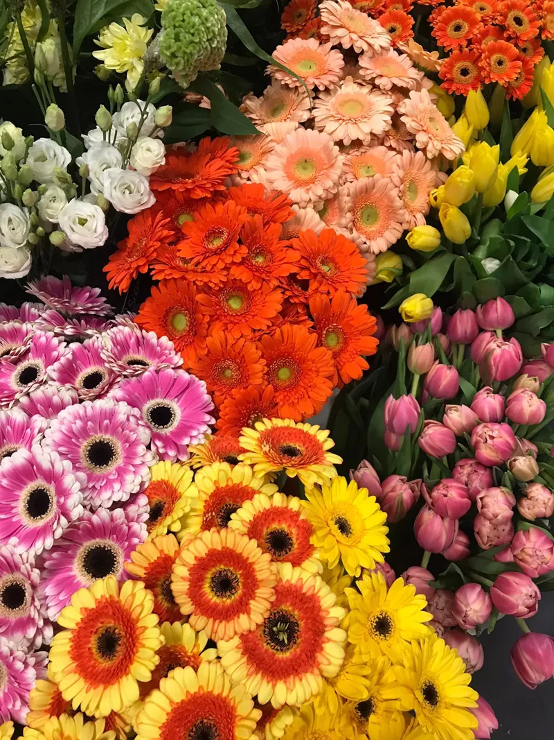 Photo : Côté Soleil, Fleurs & Plantes à Quaregnon