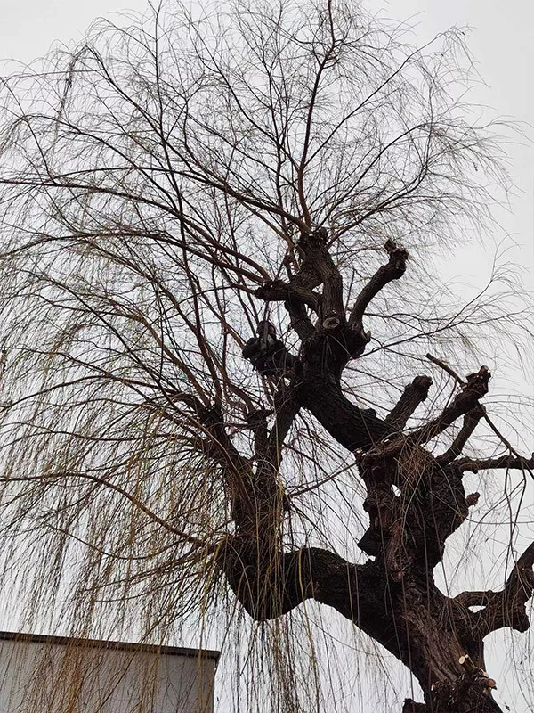 Photo : Florent Botte, Parcs et Jardins à Pont-à-Celles, Les Bons Villers & entités