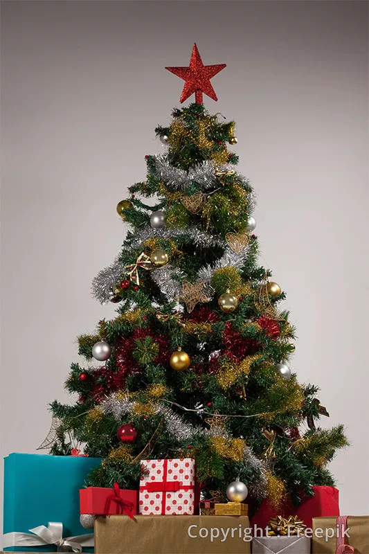 Photo : Gery Goffart, Sapins de Noël à Waret-la-Chaussée