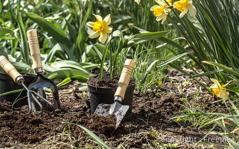 Photo : Hélène et ses Jardins, Coaching jardinage à Sprimont