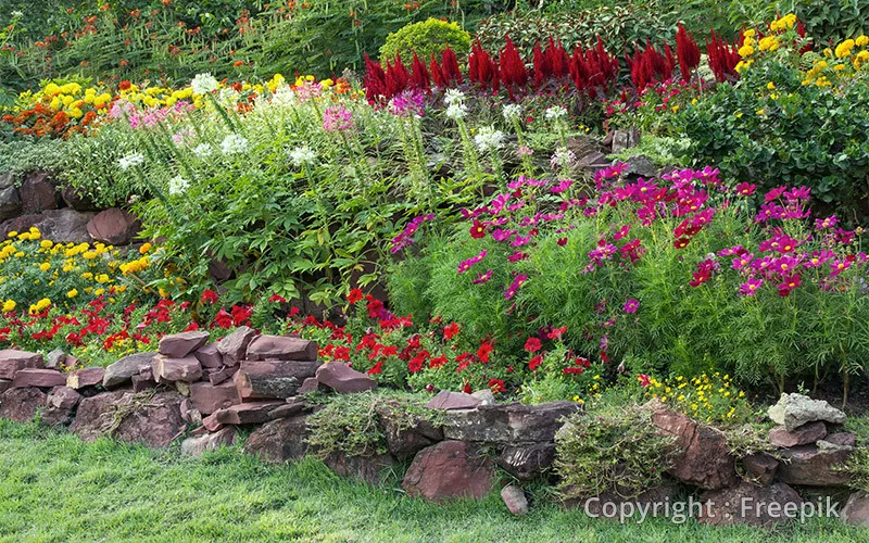 Photo : Hélène et ses Jardins, Coaching jardinage à Sprimont