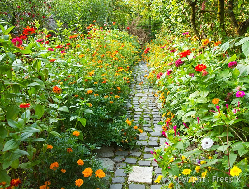 Photo : Hélène et ses Jardins, Coaching jardinage à Sprimont