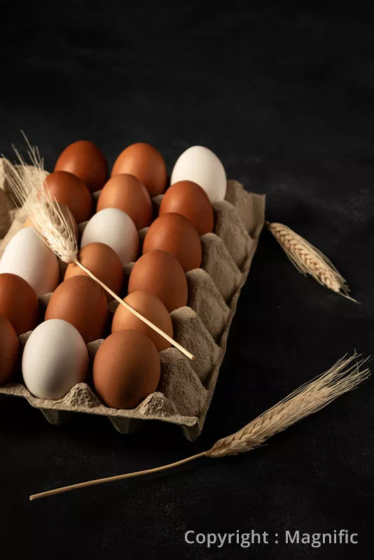Photo : La Ferme de Frocourt, Produits de la Ferme à Eghezée & entités