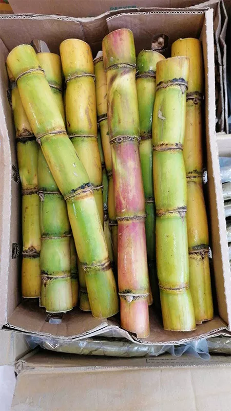 Photo : Le Baobab, Alimentation - Supermarchés & Grands magasins à Wavre