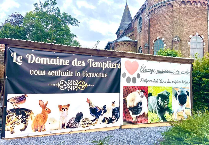 Photo : Le Domaine des Templiers, Animaux & Accessoires à Fleurus