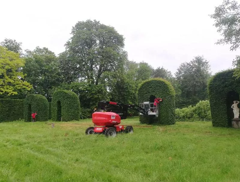 Photo : Le Temps des Cerises SRL, Parcs & Jardins à Lincent