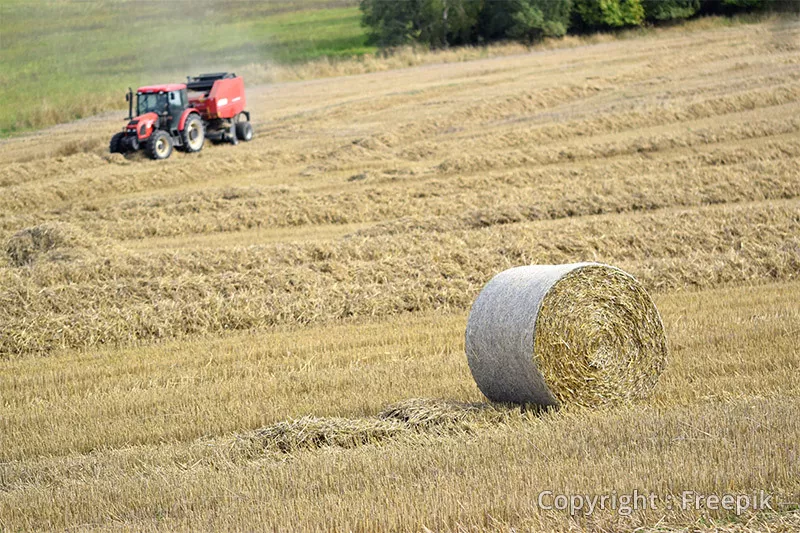 Photo : Louis Jean-Pierre, Entreprise de Travaux Agricoles & Bétails à Libramont