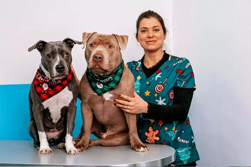 Photo : Mégane Carlier, Vétérinaires & Cliniques vétérinaires à Ath entités