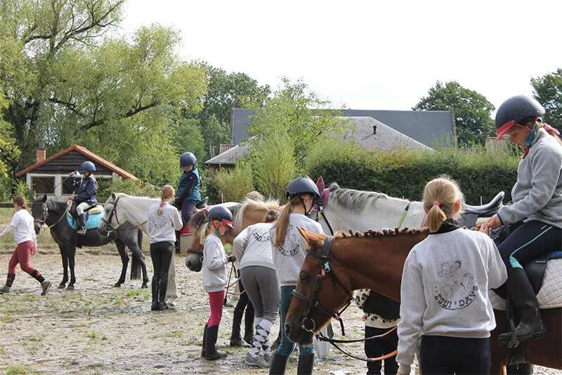 Photo : Equi'Days, Manèges - Centres équestres & Haras à Wavre