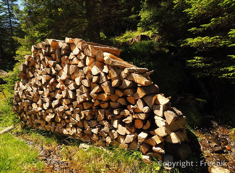 Photo : Moes Nicolas, Elagage & Abattage d’arbres à Waremme