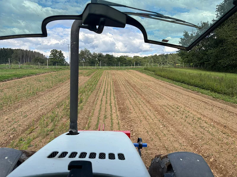 Photo : Pépinières STELET, Pépinières & Horticulture à Ferrières