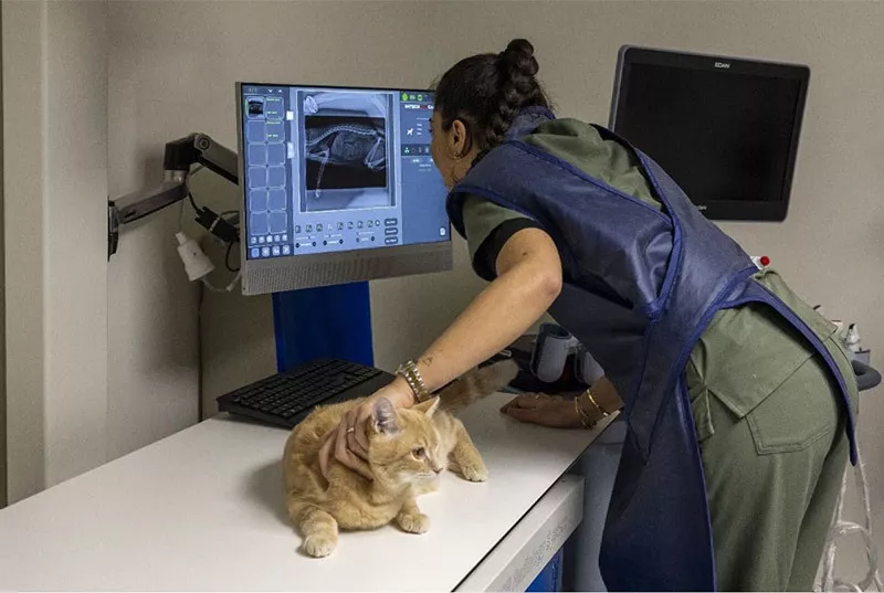 Photo : P.VetCare, Vétérinaires & Cliniques vétérinaires à Ans