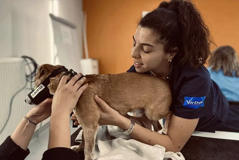 Photo : P.VetCare, Vétérinaires & Cliniques vétérinaires à Ans