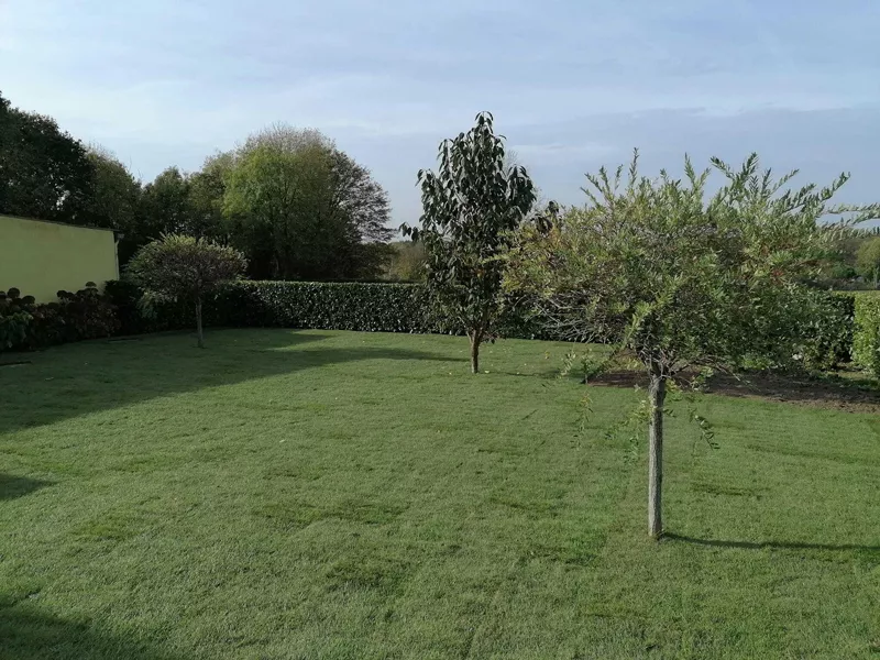 Photo : New Concept Garden, Parcs & Jardins à Perwez
