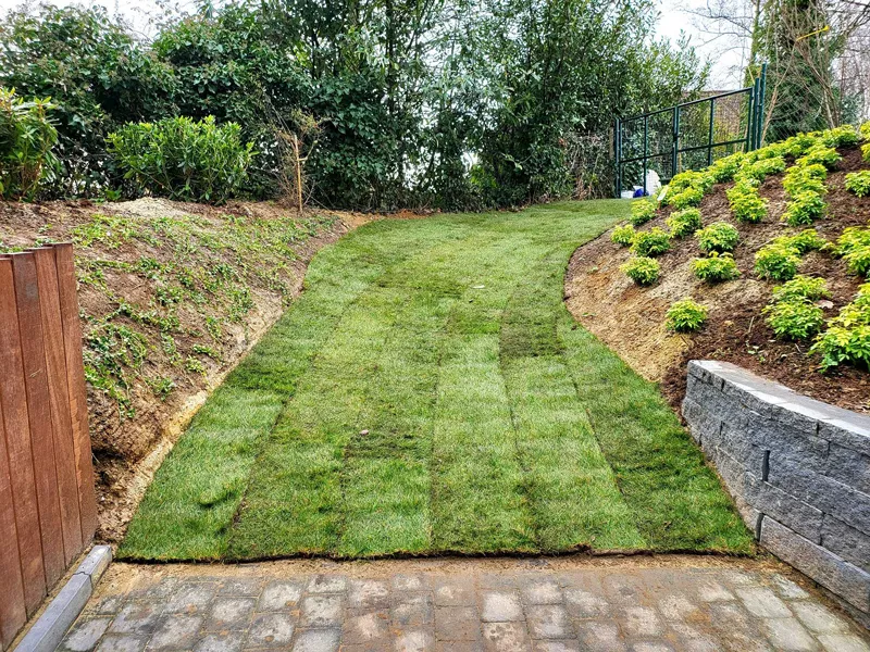 Photo : Les Jardins des Névelaines - Drym sprl, Parcs & Jardins à Rixensart