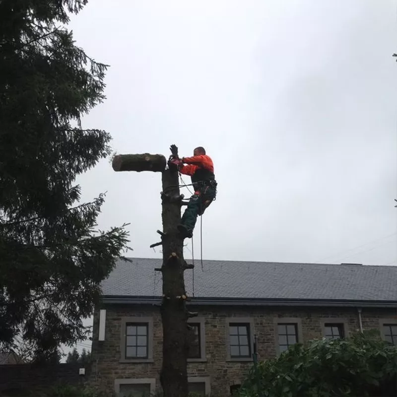 Photo : Parcs & Jardins de Strivay, Parcs & Jardins à Neupré, Nandrin & entités