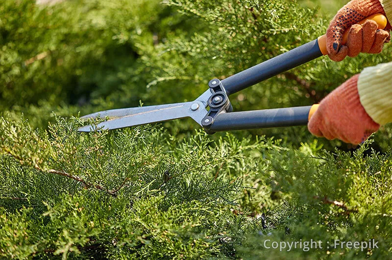 Photo : SF Project, Parcs et Jardins à Attert, Arlon, Habay, Martelange et au Luxembourg
