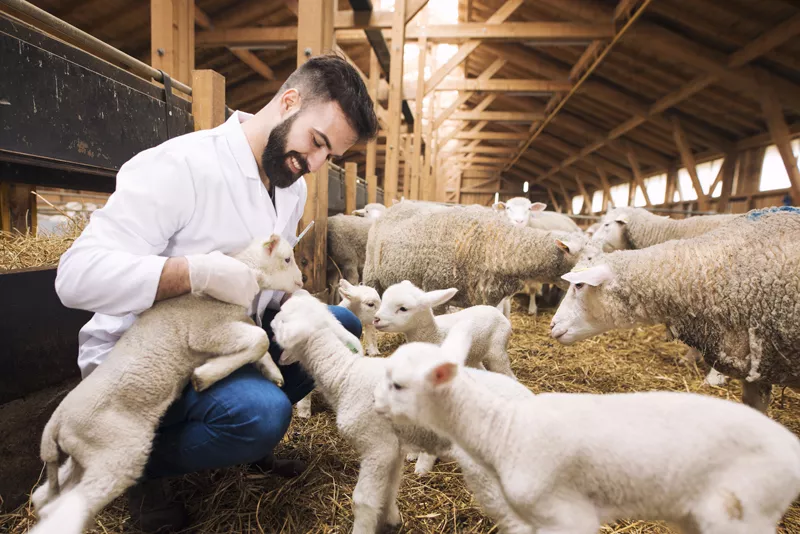 Photo : François Meunier, Vétérinaires & Cliniques Vétérinaires à Havelange