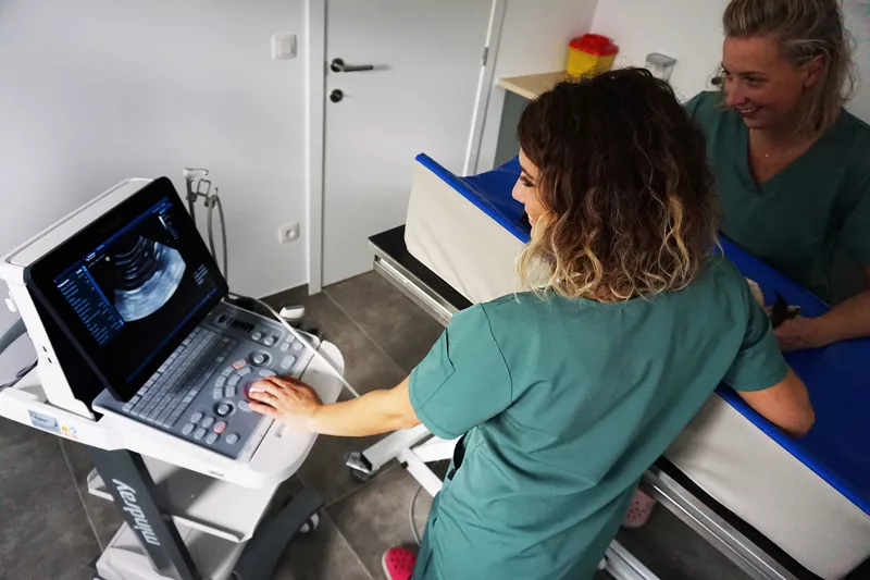 Photo : Vet2you, Vétérinaires & Cliniques Vétérinaires à Lasne