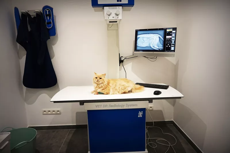 Photo : Vet2you, Vétérinaires & Cliniques Vétérinaires à Lasne
