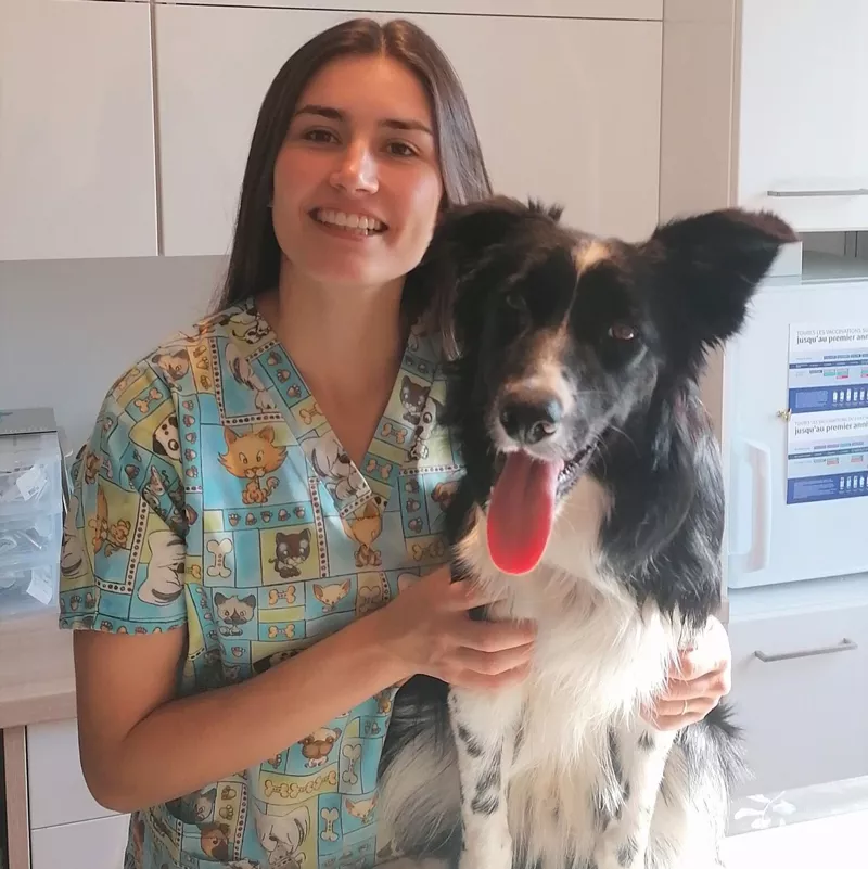 Photo : Mélanie Stordeur, Vétérinaires & Cliniques Vétérinaires à Spa, Jalhay, Sart-lez-Spa