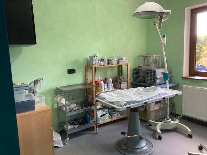 Photo : Vet’O Domicile, Vétérinaires & Cliniques vétérinaires à Clavier