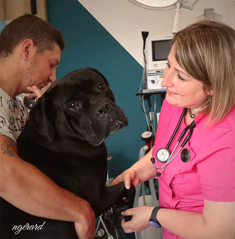 Photo : Vet'energy, Vétérinaires & Cliniques vétérinaires à Soignies