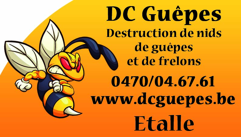 DC Guêpes